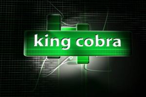 Rope Release Skills - King Cobra
